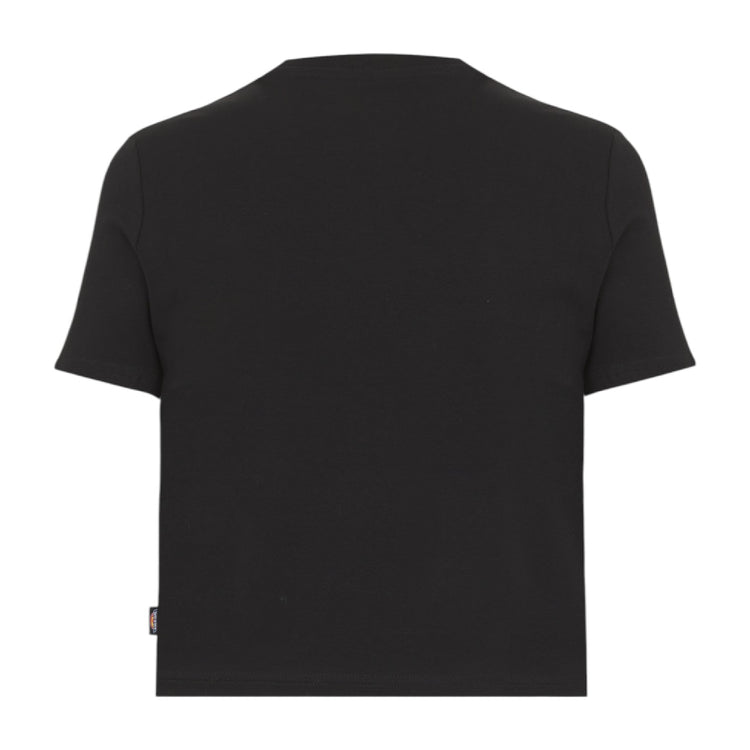 DICKIES Maple Valley T-Shirt Black DK0A4XPOBLK1