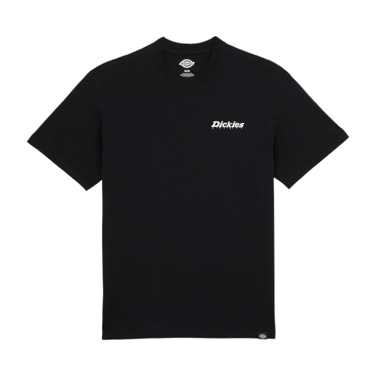 DICKIES Statesville T-Shirt Black DK0A87QPBLK1