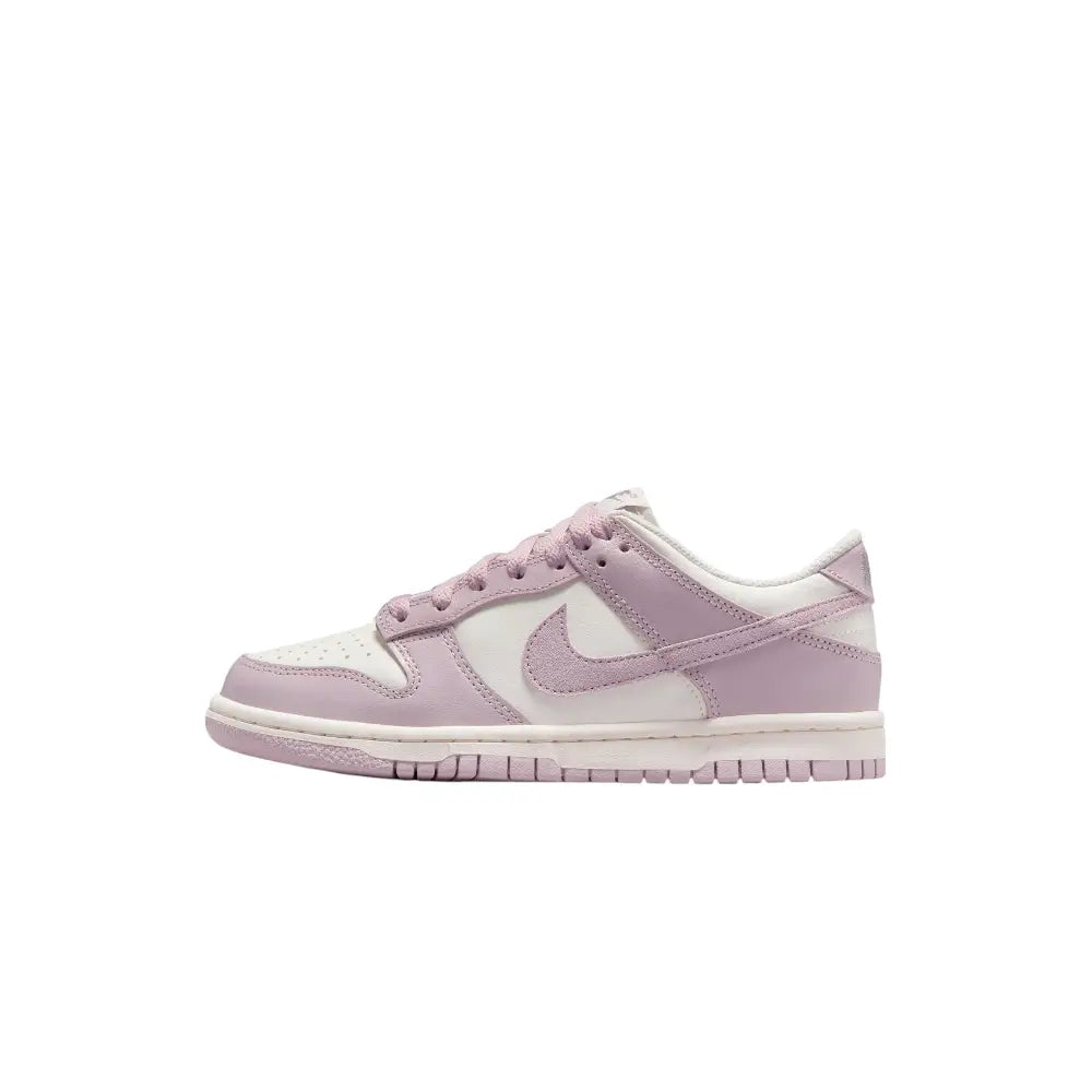 NIKE Dunk Low Particle Rose (GS) FB9109-122