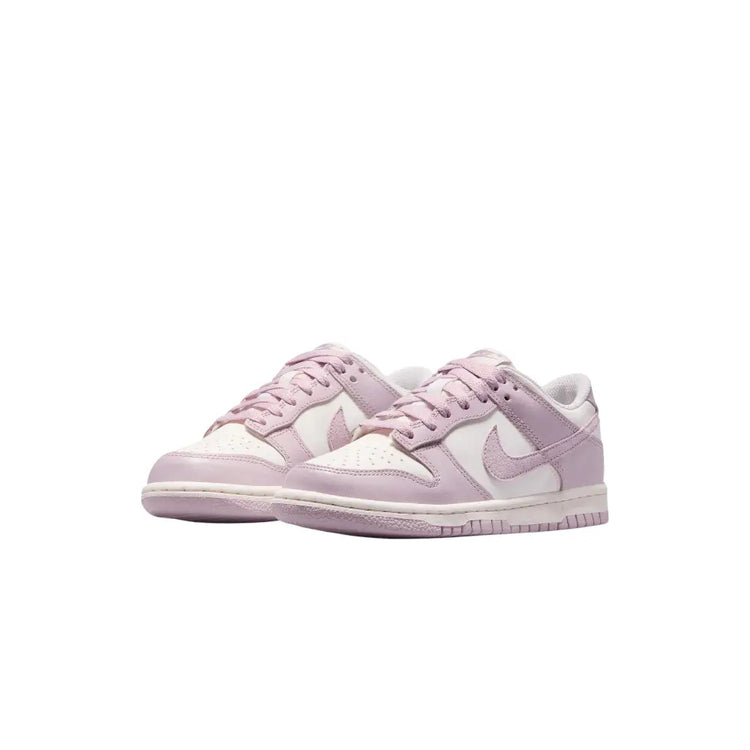 NIKE Dunk Low Particle Rose (GS) FB9109-122