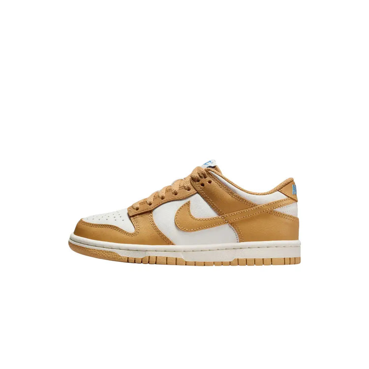 NIKE Dunk Low Honeycomb (GS) FB9109-700