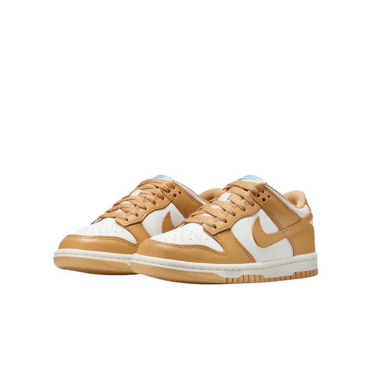 NIKE Dunk Low Honeycomb (GS) FB9109-700