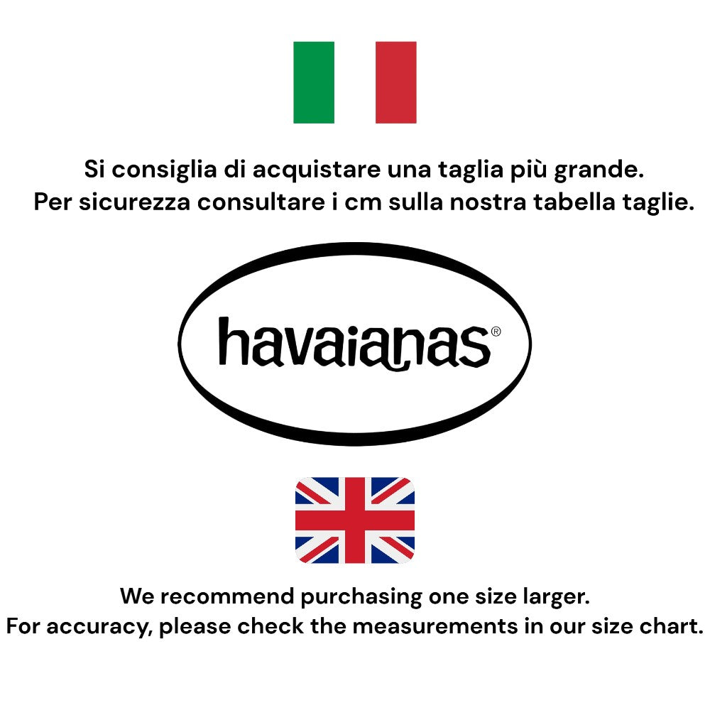 HAV. BRASIL LOGO