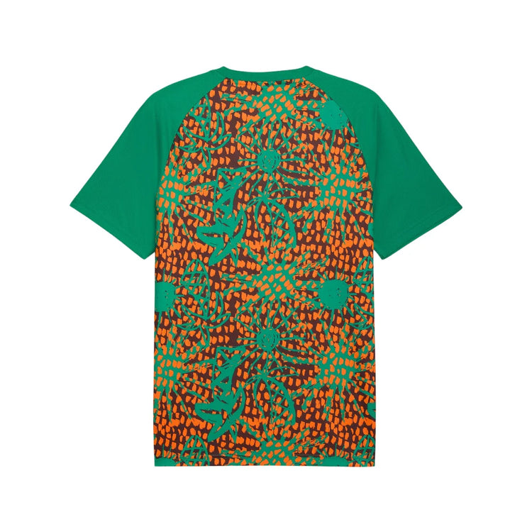 PUMA Côte D'Ivoire Warmup Jersey 784738-10