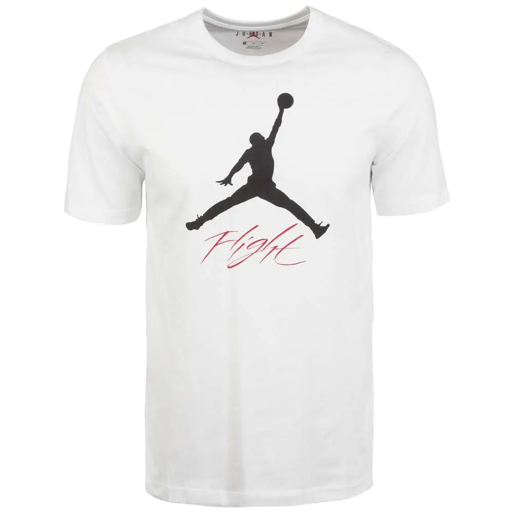 JORDAN Jumpman Flight T-Shirt AO0664-100