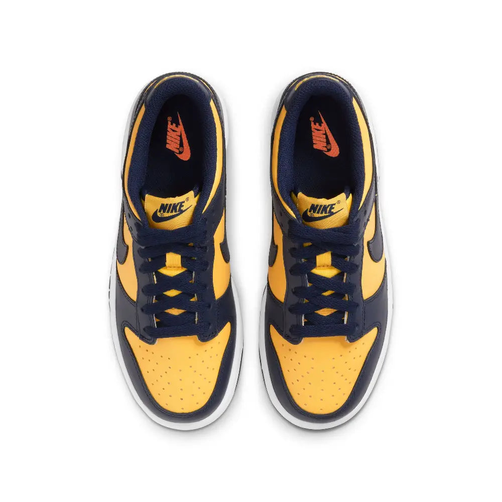 NIKE Dunk Low Michigan (GS) CW1590-700