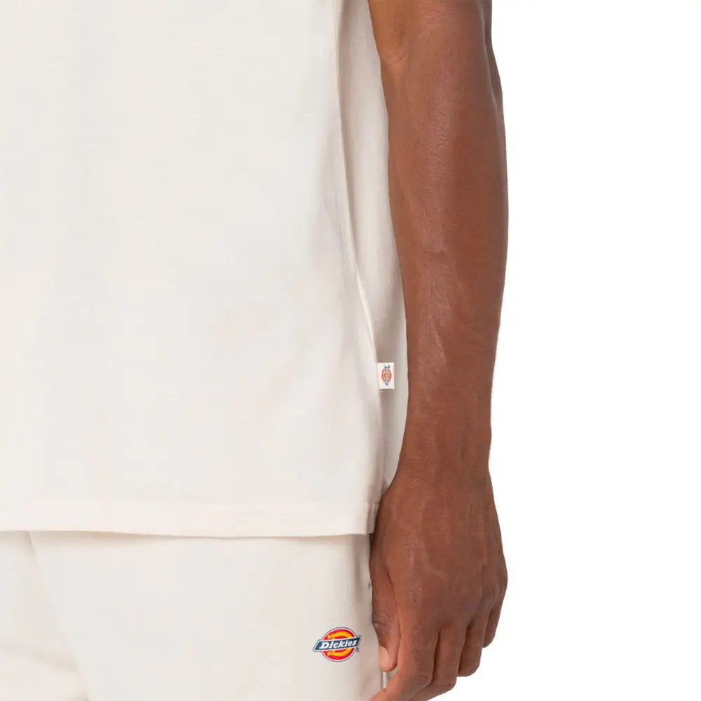 DICKIES Mapleton T-Shirt Whitecap Gray DK0A4XDBF901