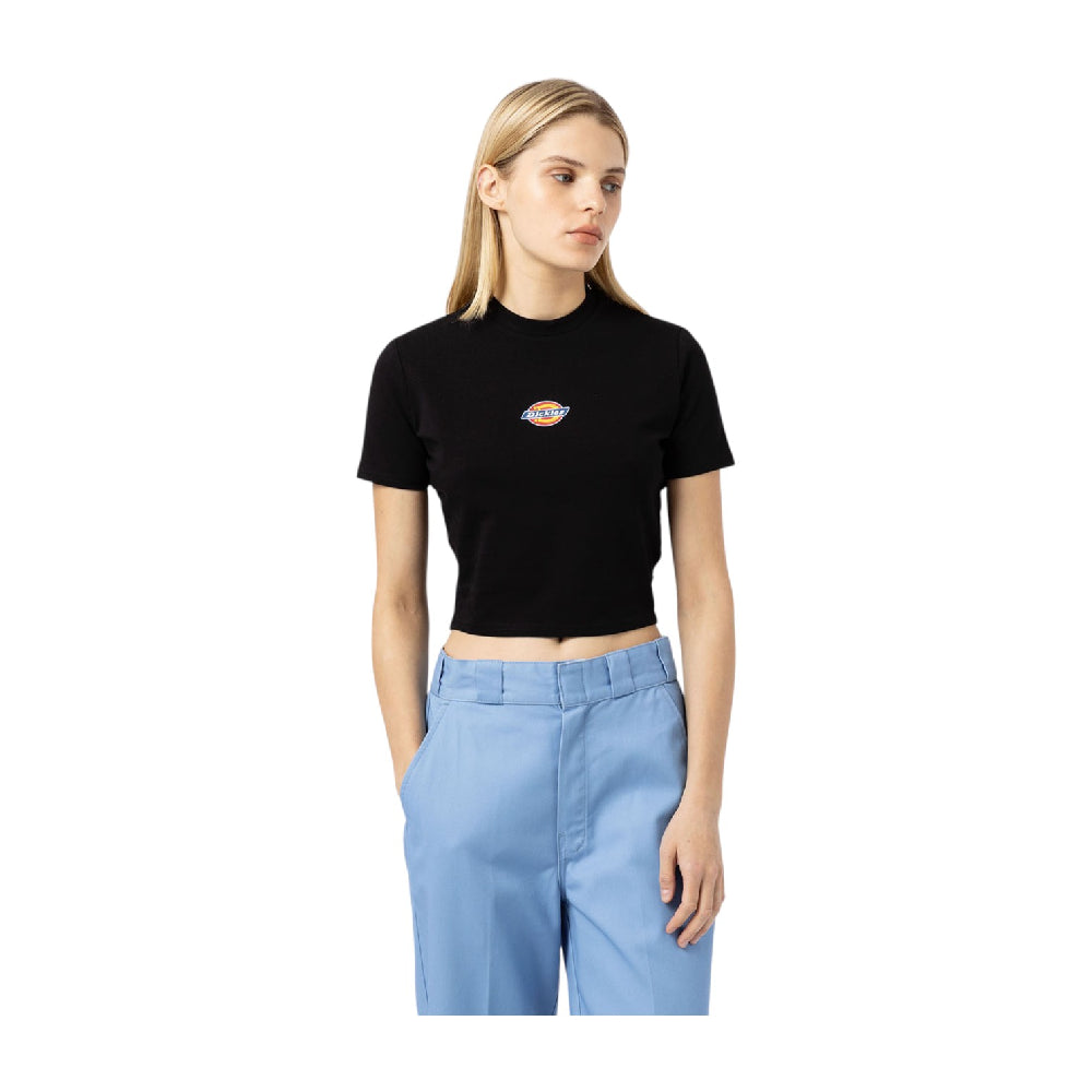 DICKIES Maple Valley T-Shirt Black DK0A4XPOBLK1