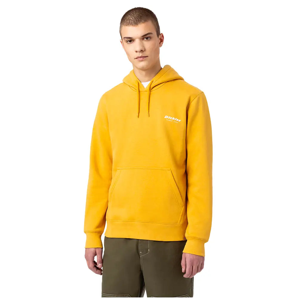 DICKIES Camden Box Hoodie Honey Gold DK0A4XYSC961-GOLD