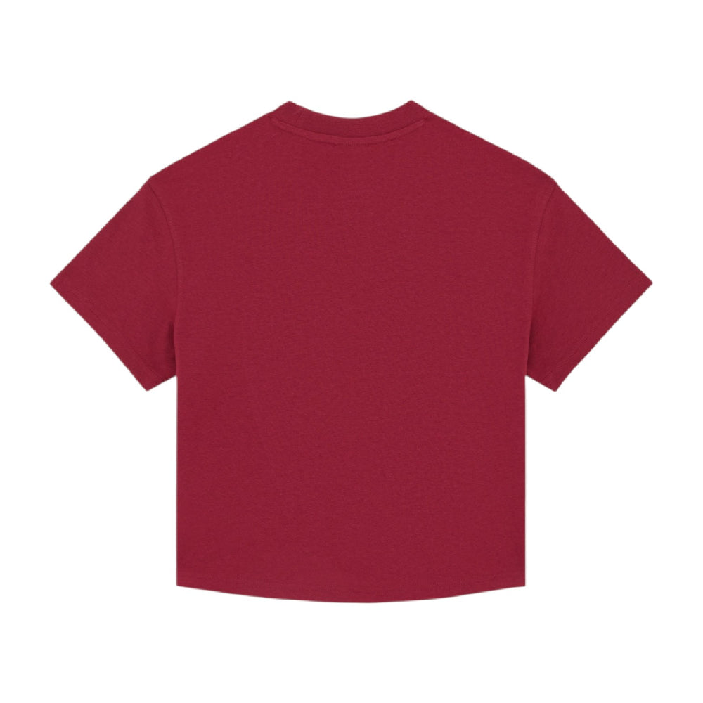 DICKIES Oakport Boxy T-Shirt Red DK0A4Y8LK741