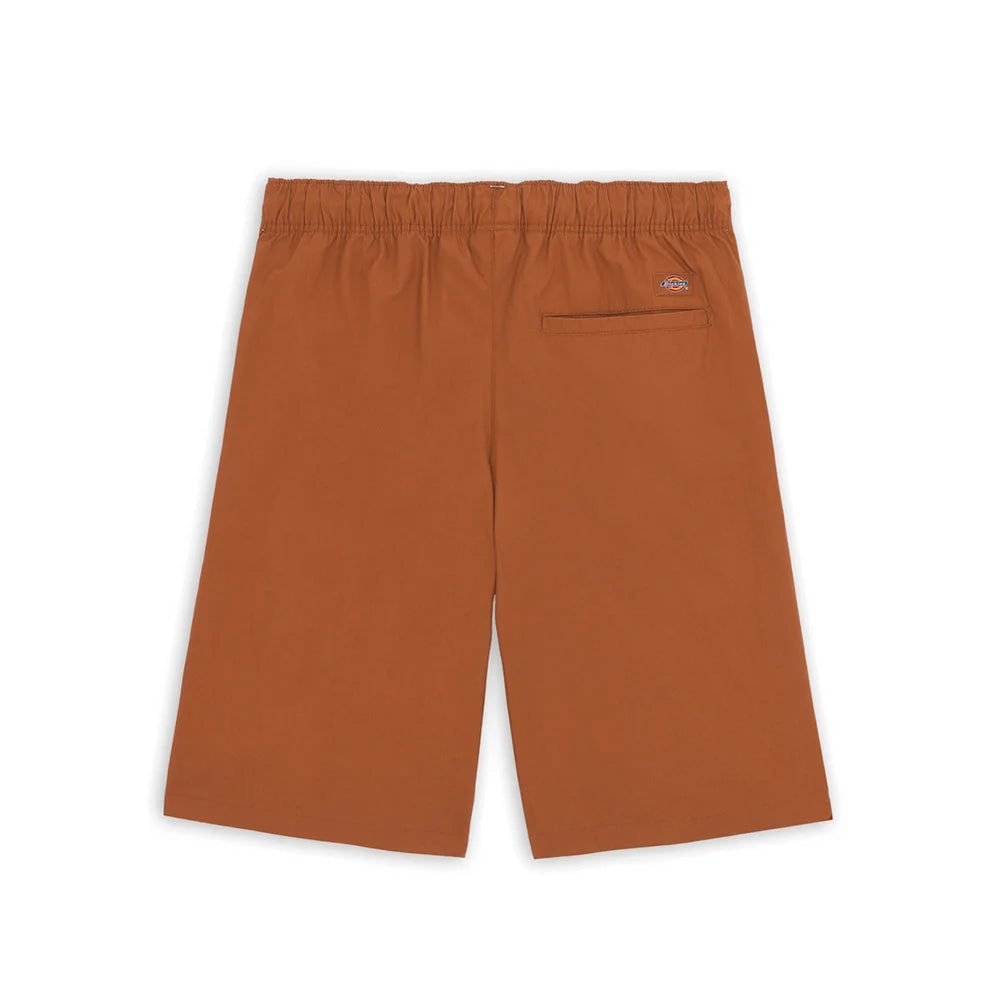 DICKIES Fishersville Short Mocha Bisque DK0A4YSIH161