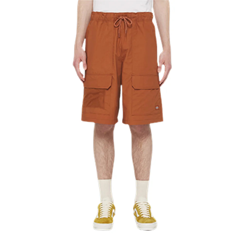 DICKIES Fishersville Short Mocha Bisque DK0A4YSIH161