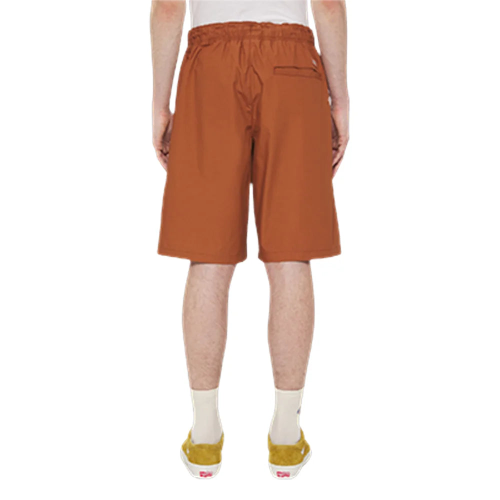 DICKIES Fishersville Short Mocha Bisque DK0A4YSIH161