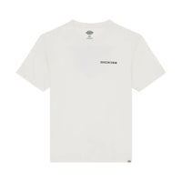 DICKIES Landascape Ss T-Shirt Egret DK0A4Z8VC481