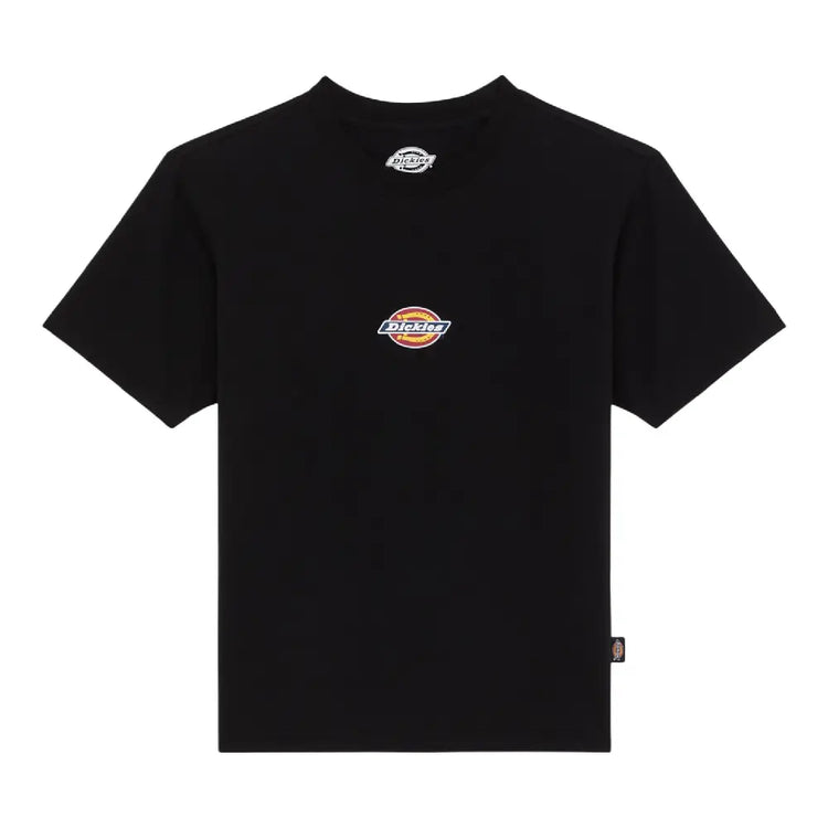 DICKIES Maple Valley Reg T-Shirt Black DK0A4ZAOBLK1
