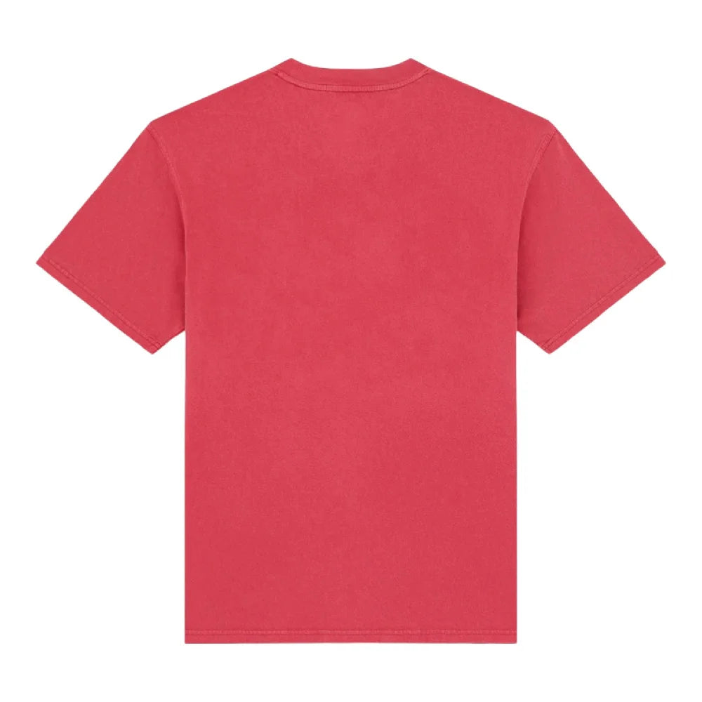 DICKIES Plentywood Ss T-Shirt Garnet DK0A866BL331