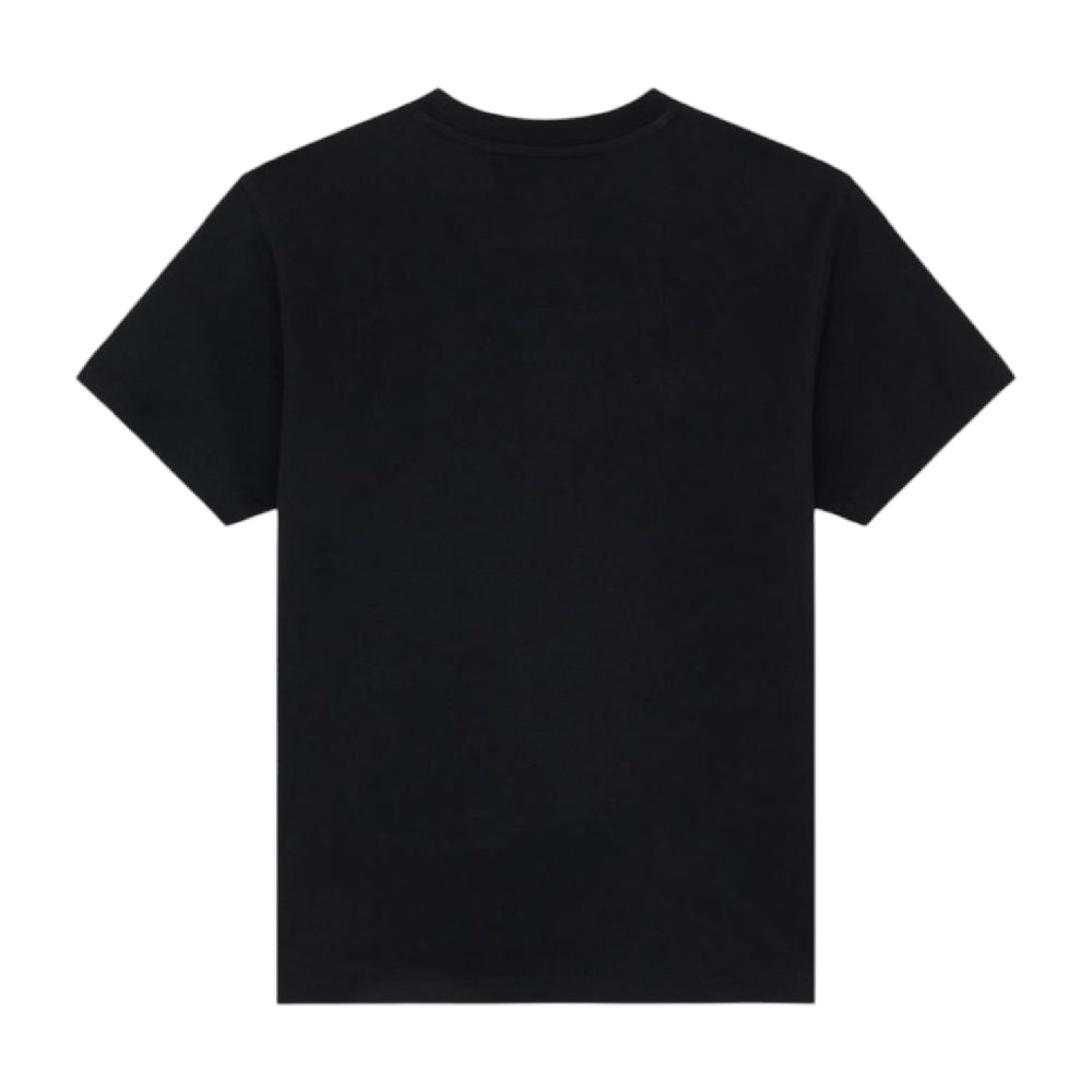 DICKIES Williston T-Shirt Black DK0A87Q5BLK1