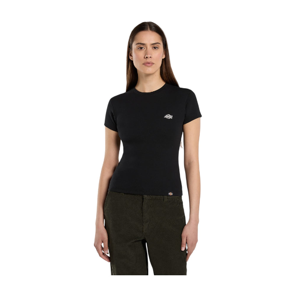 DICKIES Gladeville T-Shirt Black DK0A87QBBLK1