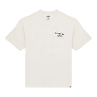 DICKIES Sneedville T-Shirt White DK0A87QOC481