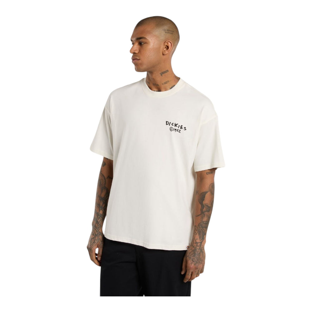 DICKIES Sneedville T-Shirt White DK0A87QOC481