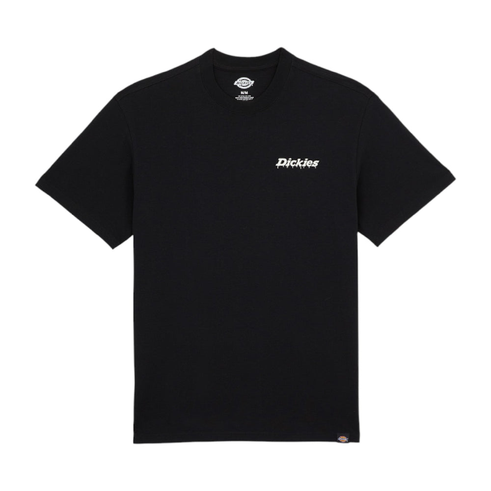 DICKIES Statesville T-Shirt Black DK0A87QPBLK1