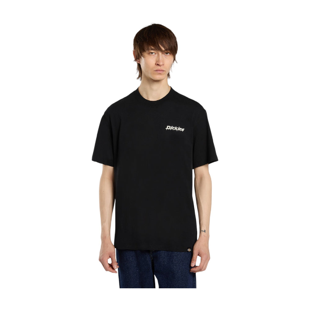 DICKIES Statesville T-Shirt Black DK0A87QPBLK1