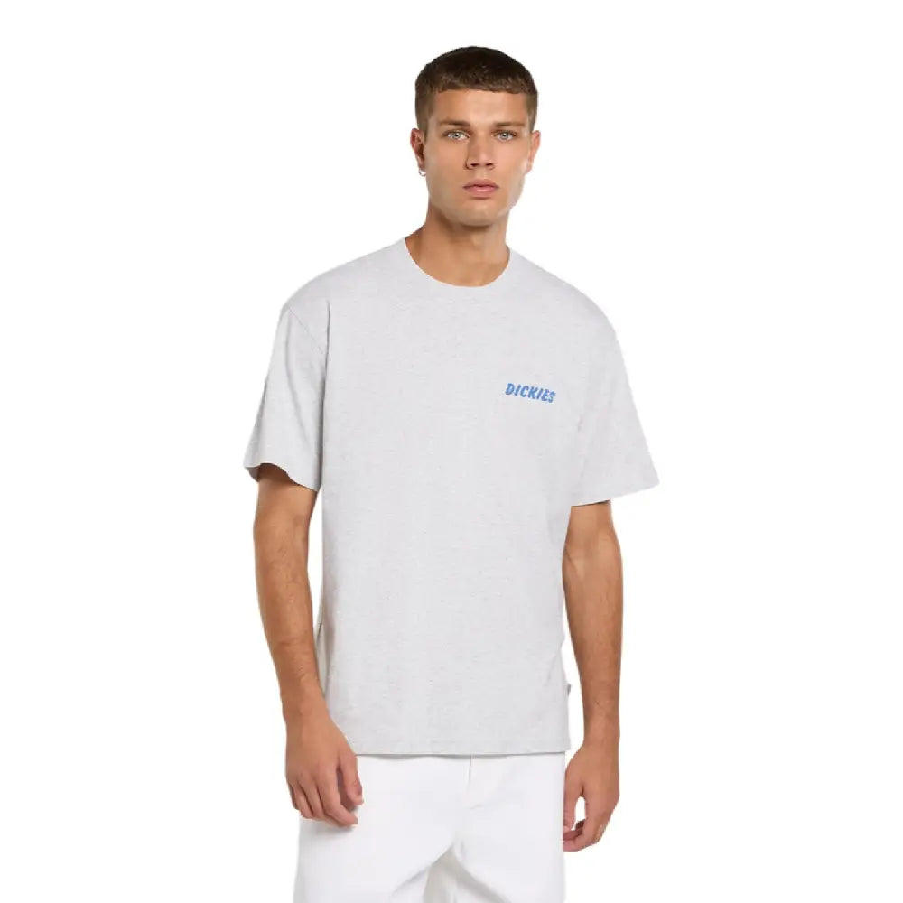DICKIES Dry Ridge T-Shirt Light Grey DK0A8853A281