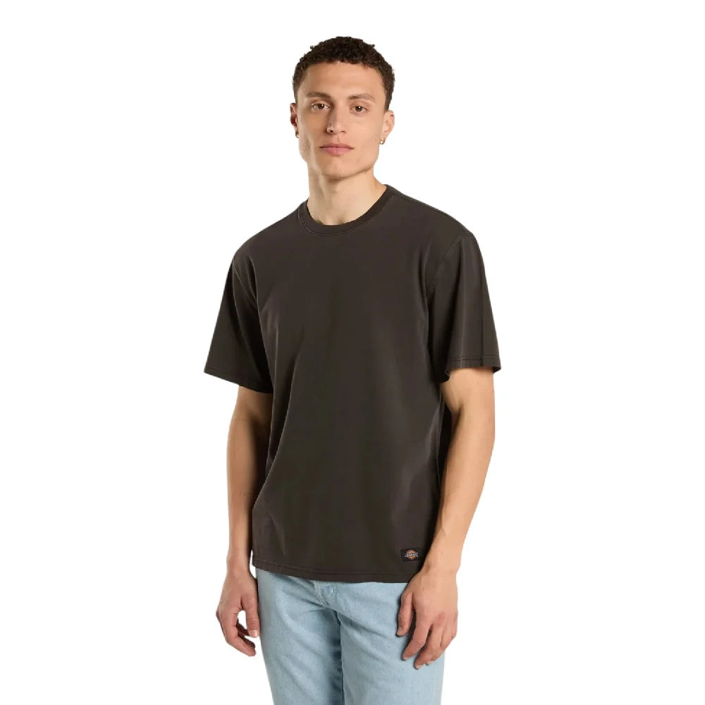 DICKIES Sutcliffe Ss T-Shirt Black DK0A89NUBLK1
