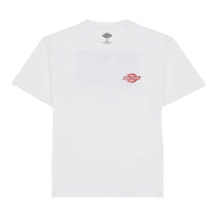 DICKIES Chinle Ss T-Shirt White DK0A8DTF0WH1