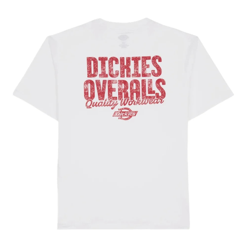 DICKIES Chinle Ss T-Shirt White DK0A8DTF0WH1