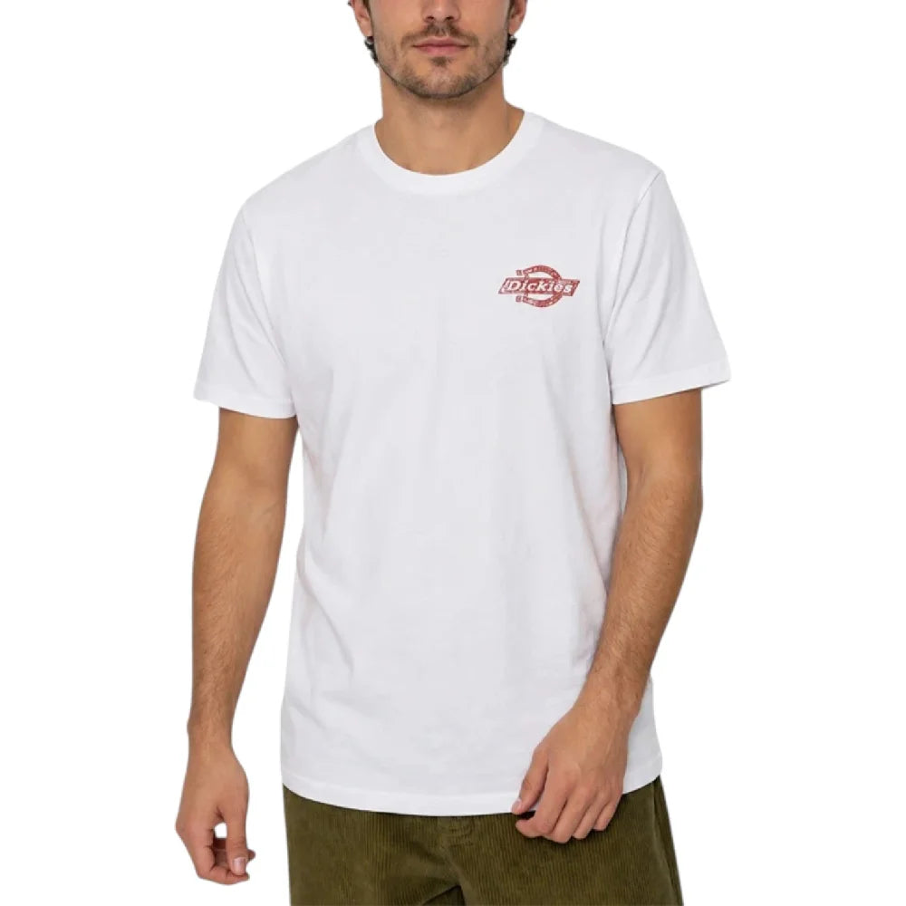 DICKIES Chinle Ss T-Shirt White DK0A8DTF0WH1