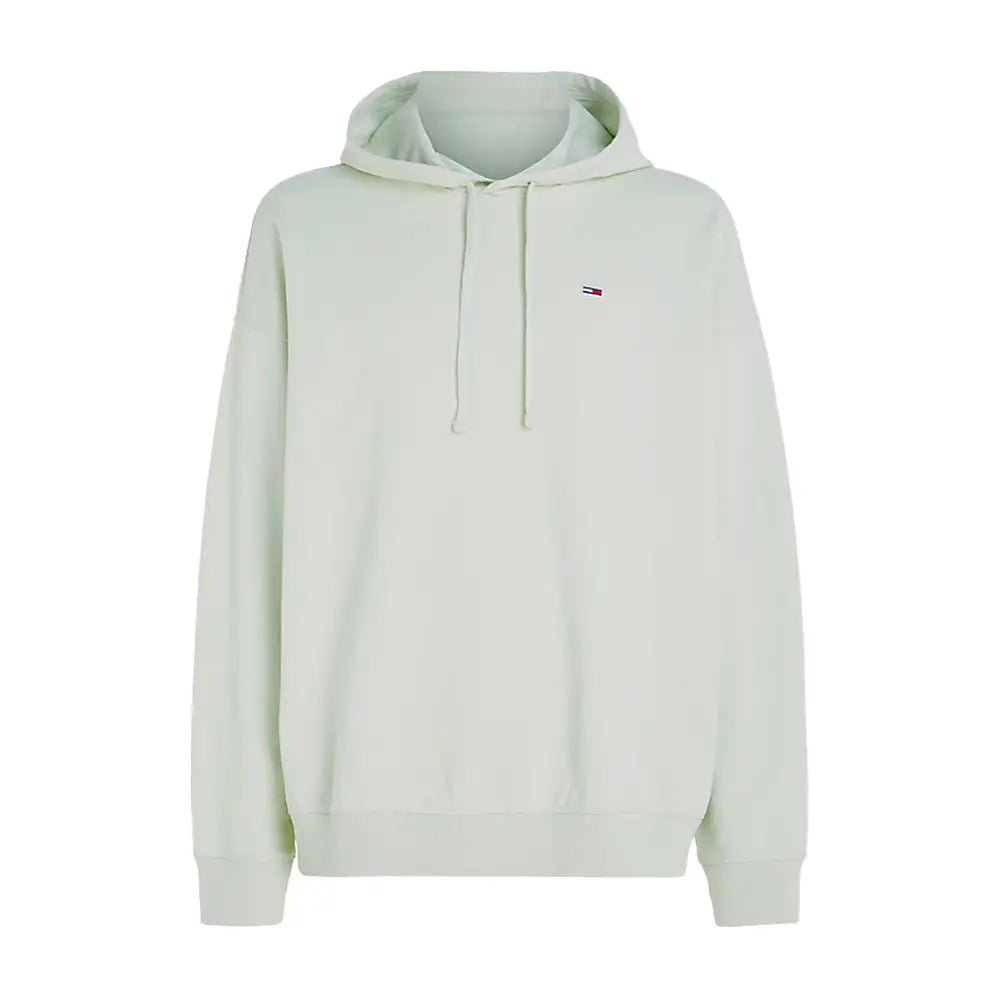 TOMMY HILFIGER TJM OVZ COLLEGE HOOD, LXW DM0DM16371LXW