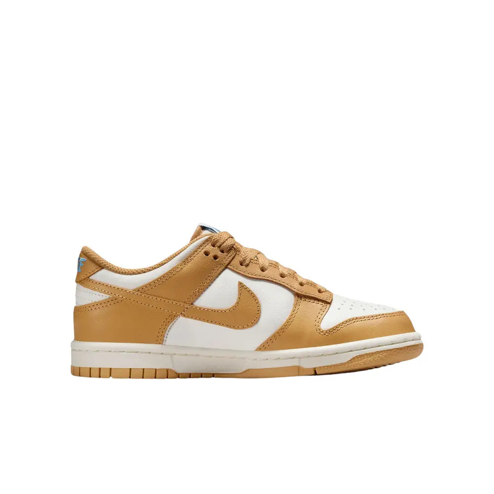 NIKE Dunk Low Honeycomb (GS) FB9109-700