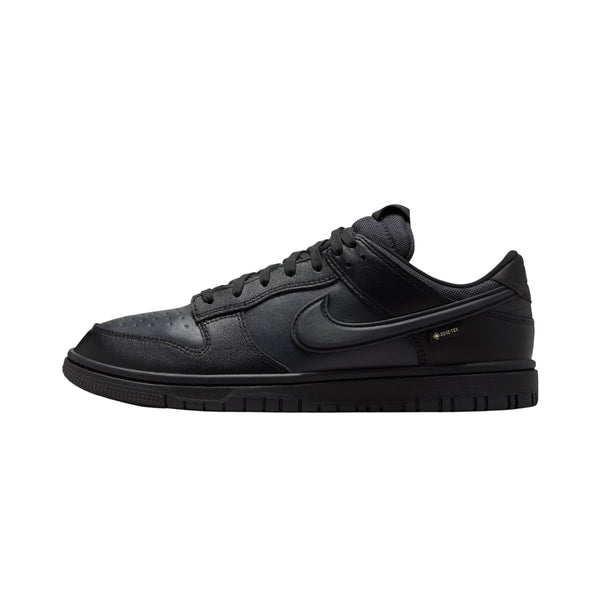 NIKE Dunk Low GORE-TEX Sneakers Black HQ2053-001