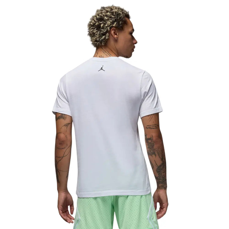 JORDAN Sport Dri-Fit Graphic T-Shirt HQ7984-100
