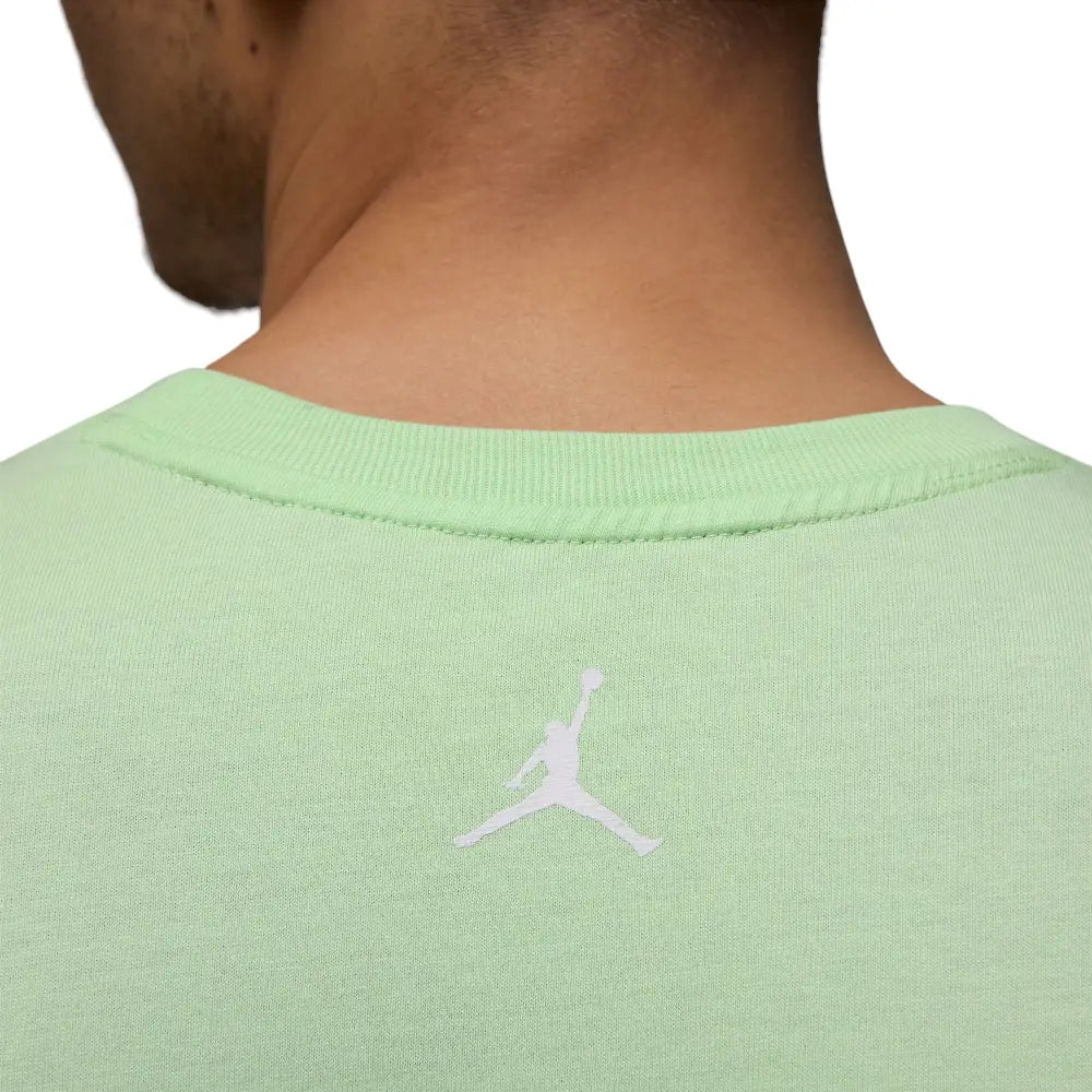 JORDAN Sport Dri-FIT T-Shirt HQ7984-376
