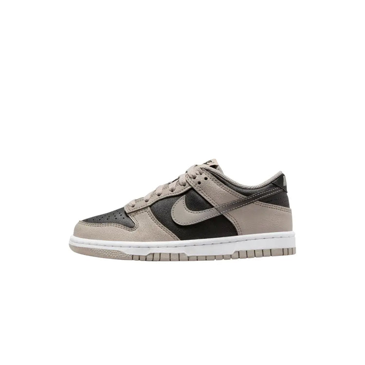 NIKE Dunk Low (GS) HV6363-009