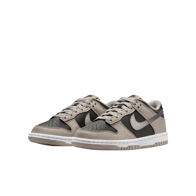 NIKE Dunk Low (GS) HV6363-009