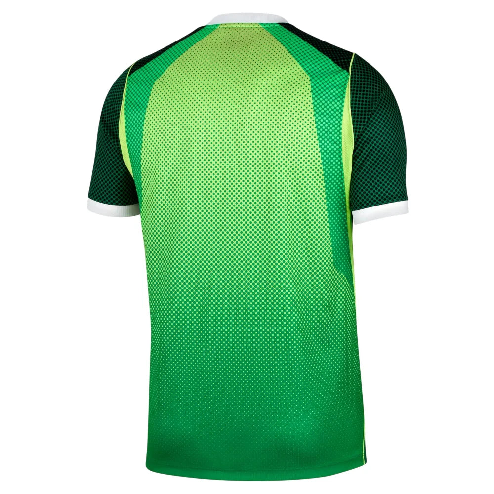 NIKE Nigeria 2026 Stadium Home Dri-FIT Soccer Short-Sleeve Jersey Green IB5308-302