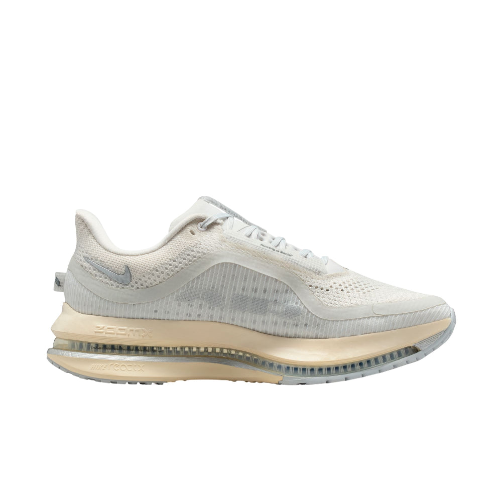 NIKE Pegasus Premium Road Running Sneakers Grey IQ0307-094