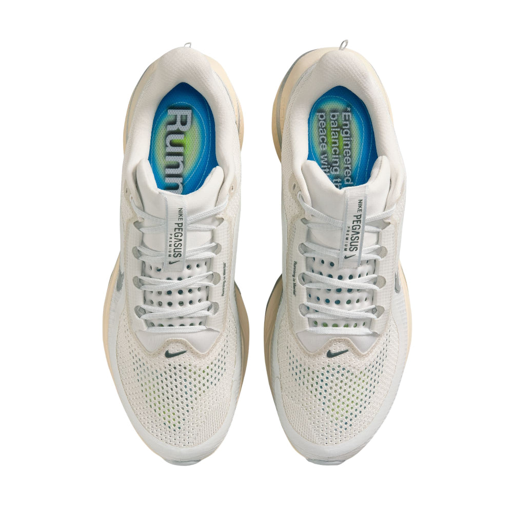 NIKE Pegasus Premium Road Running Sneakers Grey IQ0307-094