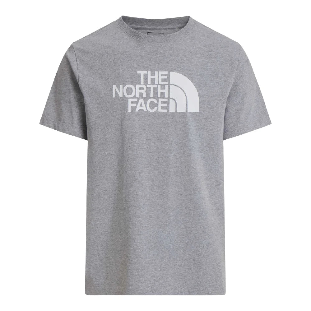 NORTH FACE Evolution Half Dome Regular T-Shirt Grey NF0A8B6JCU71