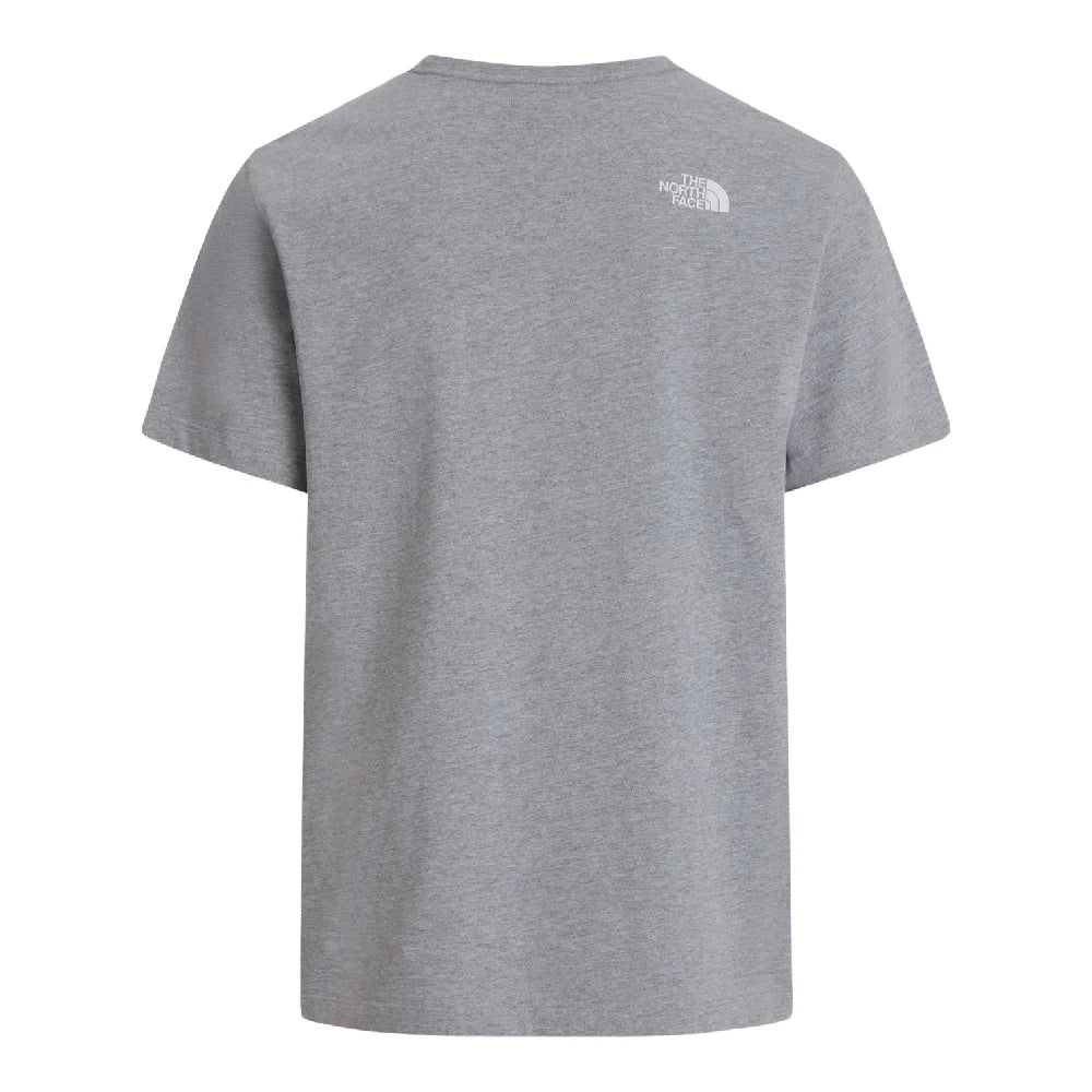 NORTH FACE Evolution Half Dome Regular T-Shirt Grey NF0A8B6JCU71