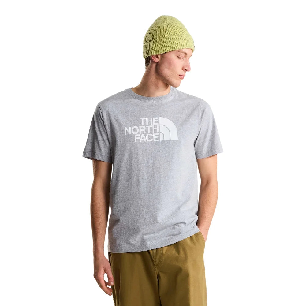 NORTH FACE Evolution Half Dome Regular T-Shirt Grey NF0A8B6JCU71