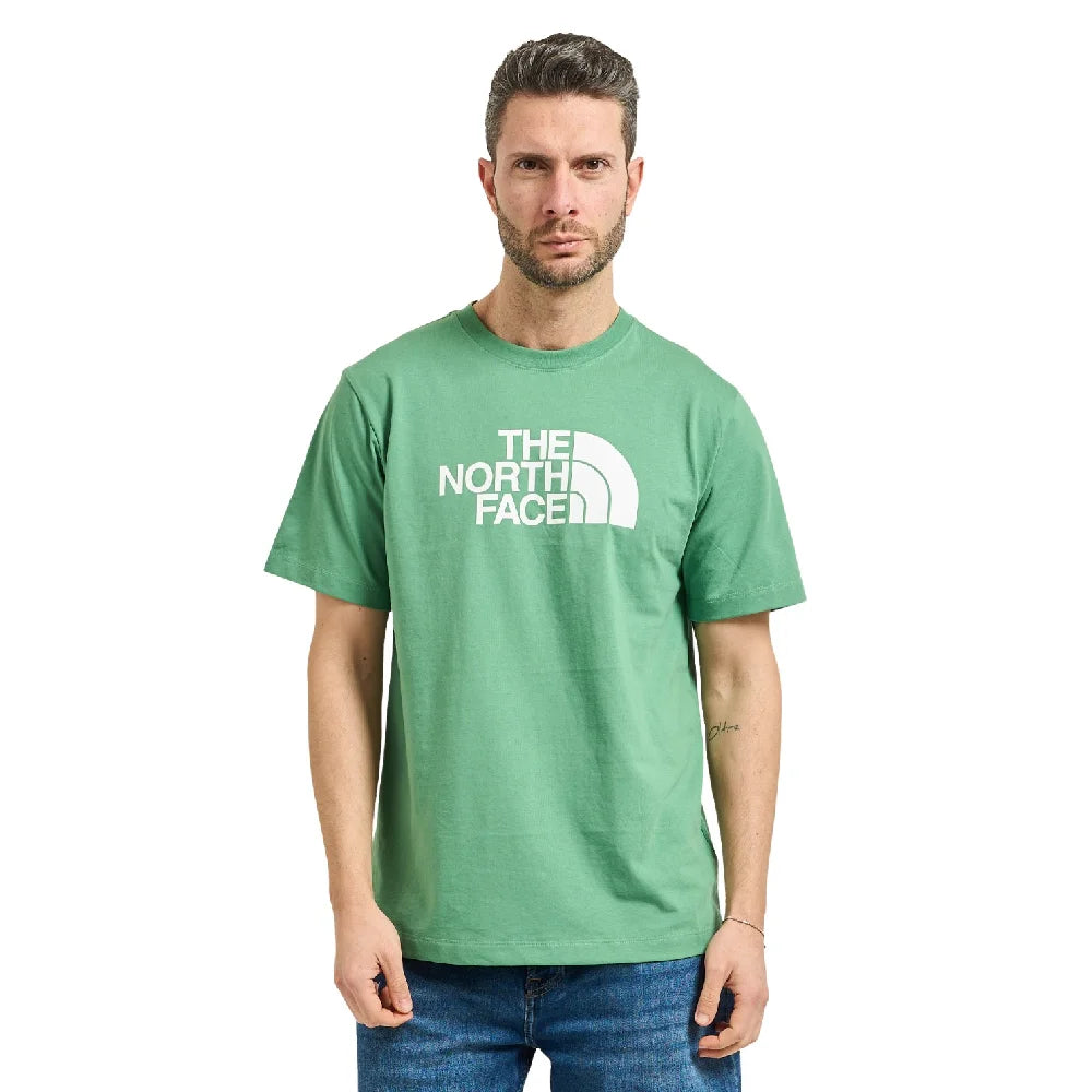 NORTH FACE Evolution Half Dome Regular T-Shirt Green NF0A8B6JG571