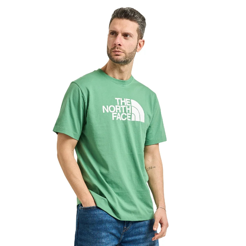 NORTH FACE Evolution Half Dome Regular T-Shirt Green NF0A8B6JG571