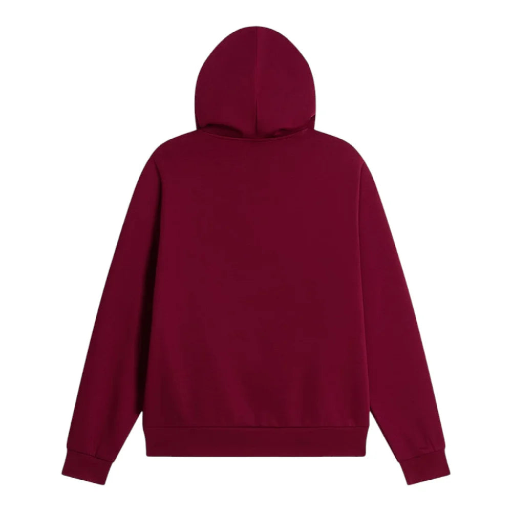 NORTH FACE Evolution Simple Dome Regular Hoodie Bordeaux NF0A8CWNMVO1