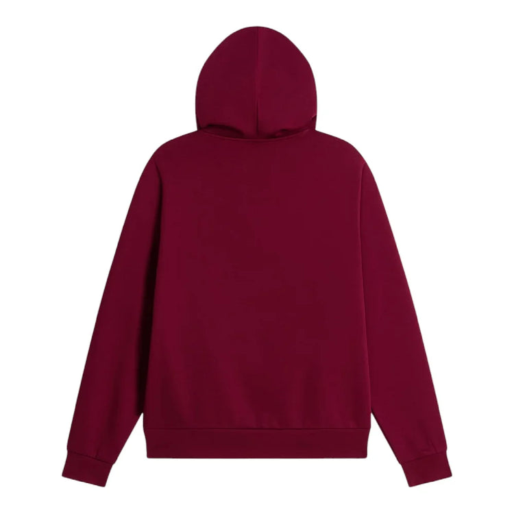 NORTH FACE Evolution Simple Dome Regular Hoodie Bordeaux NF0A8CWNMVO1