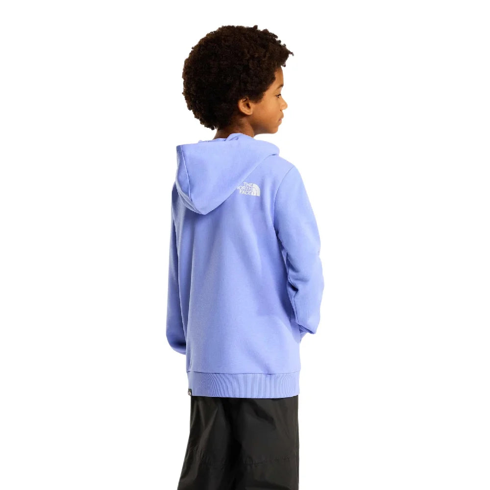 NORTH FACE Simple Dome Light Reg Hoodie Light Blue Kids NF0A8GR4G741
