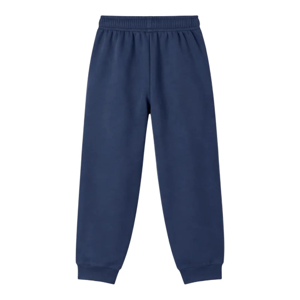 NORTH FACE Box Half Dome Regular Tapered Pant Blue NF0A8JB08K21